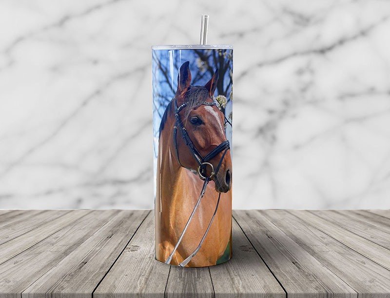 Custom Horse Photo 20oz Tumbler - Video Thumb